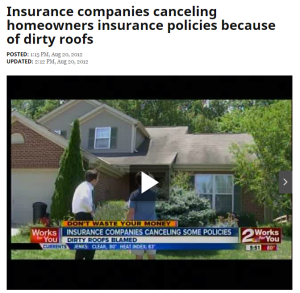 Insurance Cancel Dirty Roofs